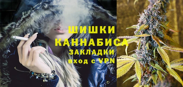 мдпв Краснослободск