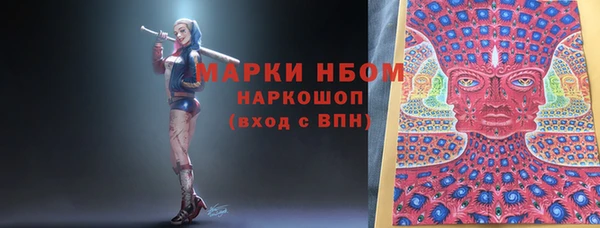 стаф Кодинск
