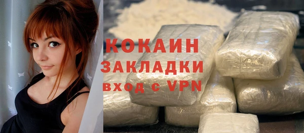 стаф Кодинск