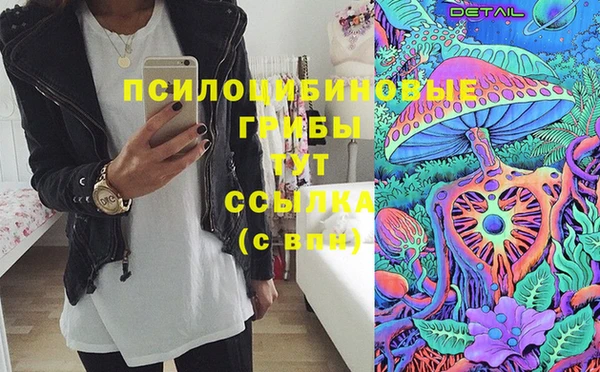 хмурый Козловка