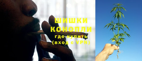 прущие грибы Киренск