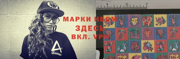 стаф Кодинск