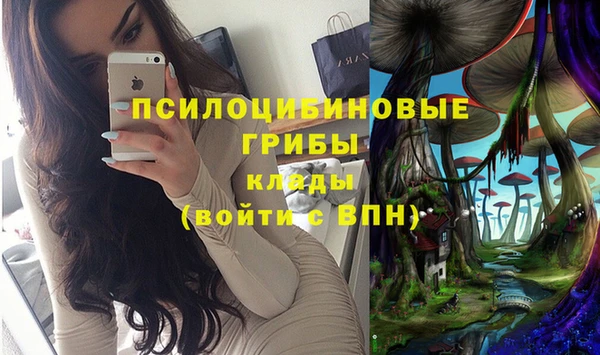 прущие грибы Киренск