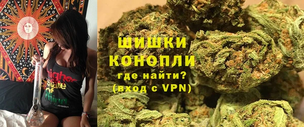 прущие грибы Киренск