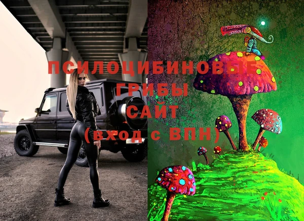 прущие крисы Краснотурьинск