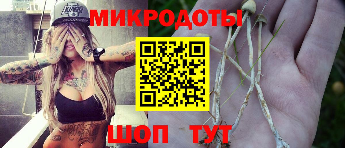 Псилоцибиновые грибы прущие грибы  Псилоцибиновые грибы прущие грибы  Вход с VPN  Красноперекопск 